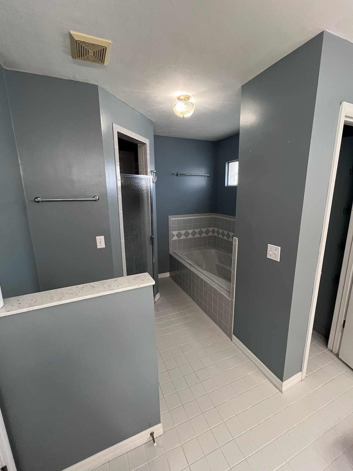 Bass family bathroom before renovation, showing a separate tub and enclosed shower